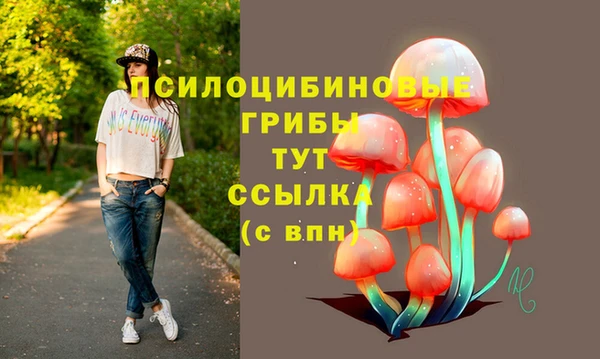 бутират Алексеевка