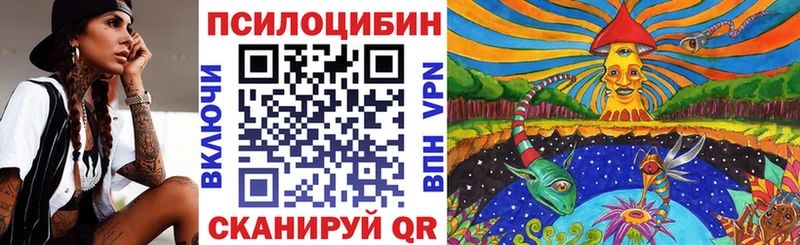 Галлюциногенные грибы Psilocybe  сколько стоит  Елец 